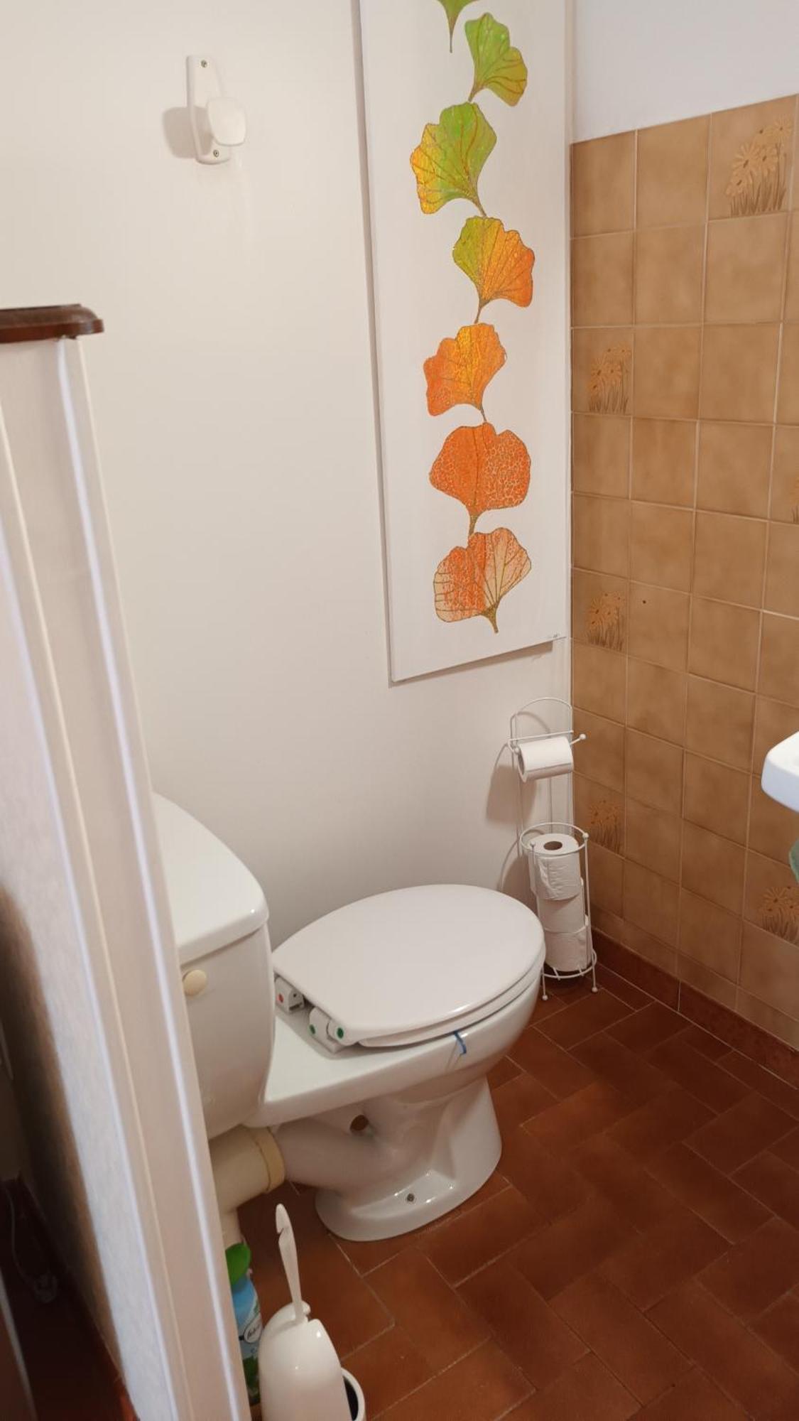 Gentil Coquelicot Apartment Mirepoix  Ngoại thất bức ảnh